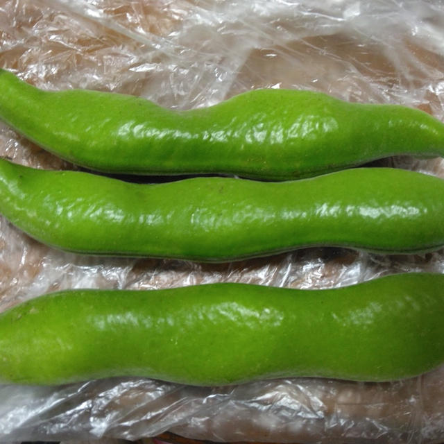 今シーズン初！そら豆ができました～＼(^o^)／