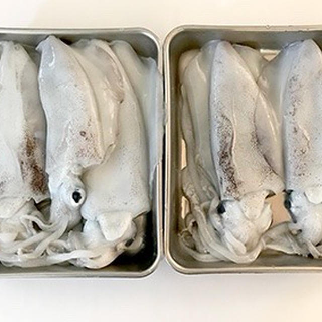 十五夜の釣果