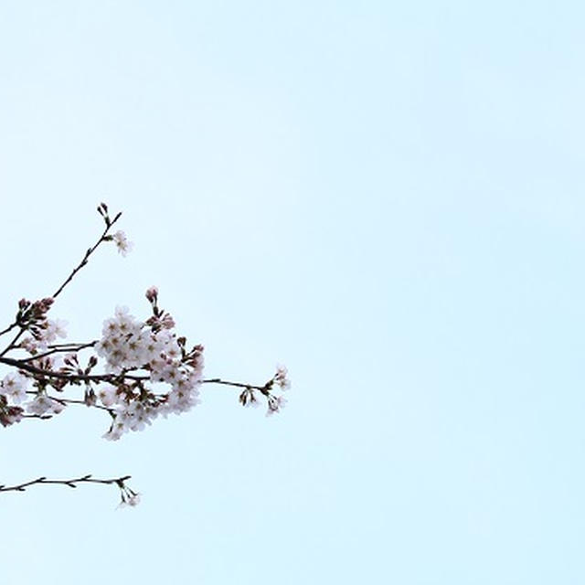 とんでも！な「俺」とのお別れの日。