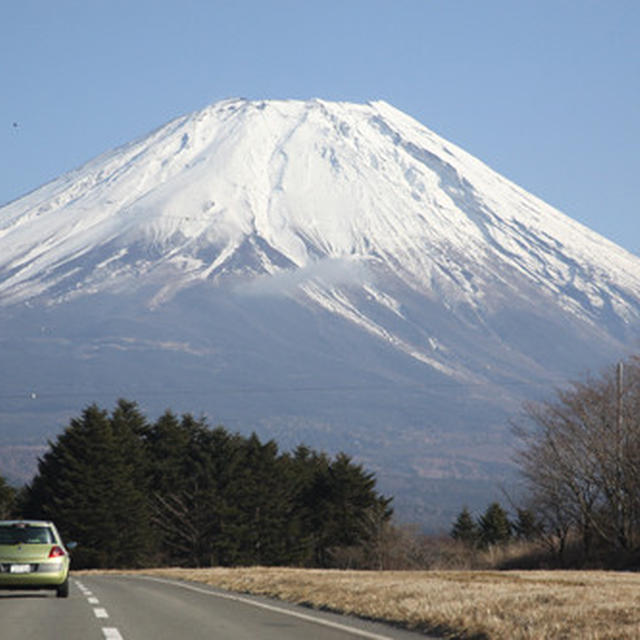 「ひつじ家」の羊たち