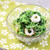 【あごだししょうゆ】つまみ菜とちくわのおひたし