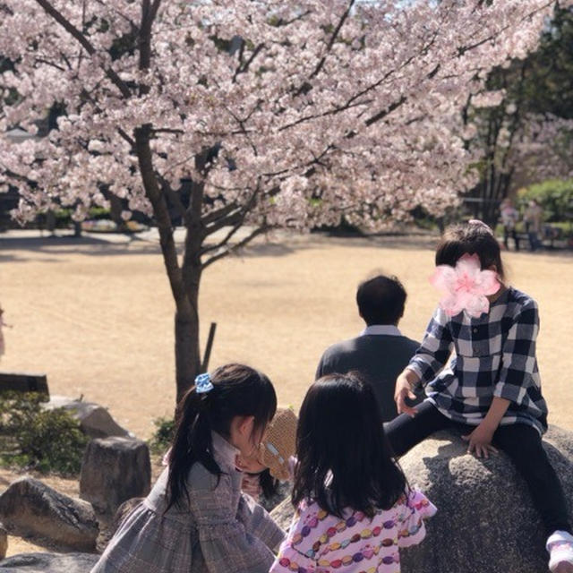 お財布のお布団♡お財布のベッドに〜