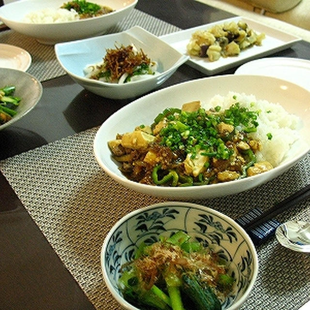 リベンジ！カレー麻婆！30分以内で作る夕食