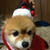 メリークリスマス