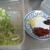 「担々麺」の実食！