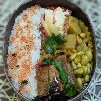 ご飯を縦詰めにしてみた夫～夫のお弁当245
