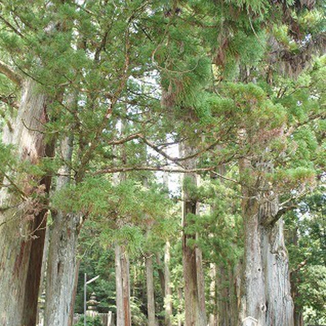 京都・高野山旅行②