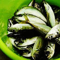 釣った魚deうちごはん。