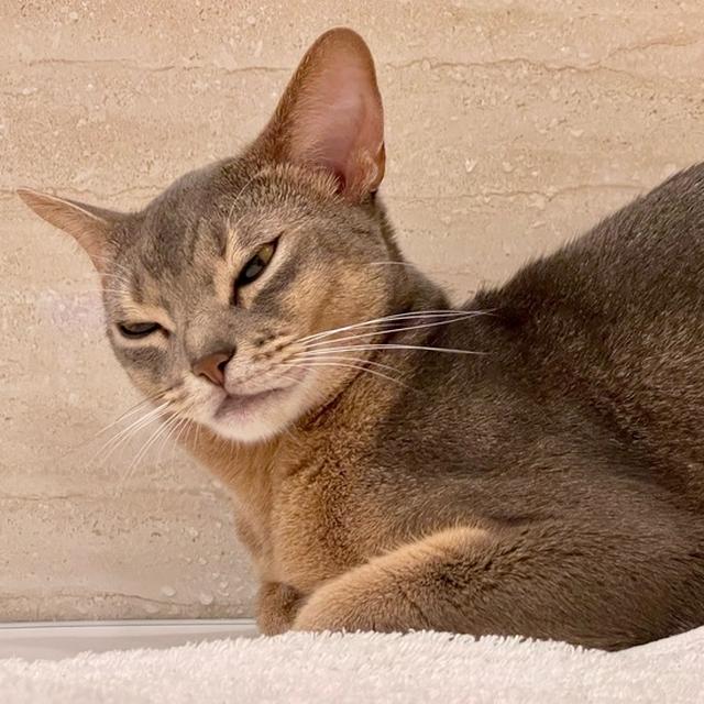 お風呂に遊びに来たけど、眠くなっちゃった坊(*´ω`*)