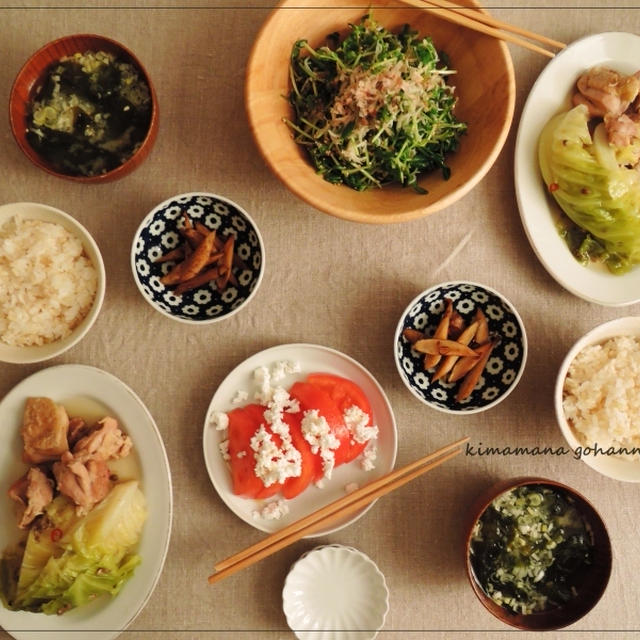 鶏肉とキャベツの山椒煮を。