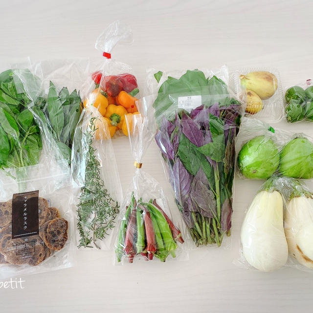 【珍しい野菜たち】らくらく3品♡お野菜の副菜&おつまみ