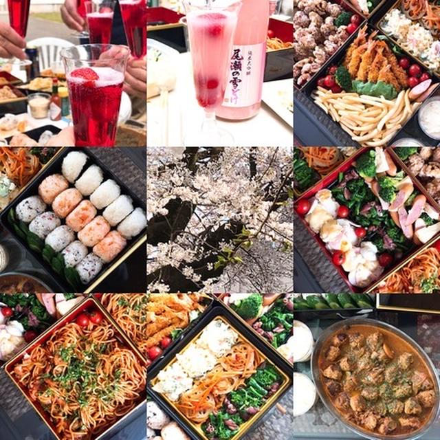 お花見２０１９