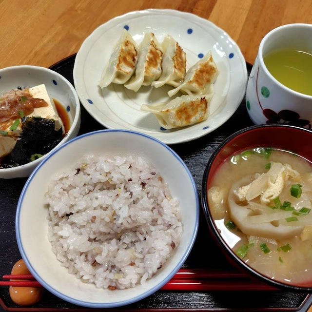 焼き餃子と冷や奴と味噌汁