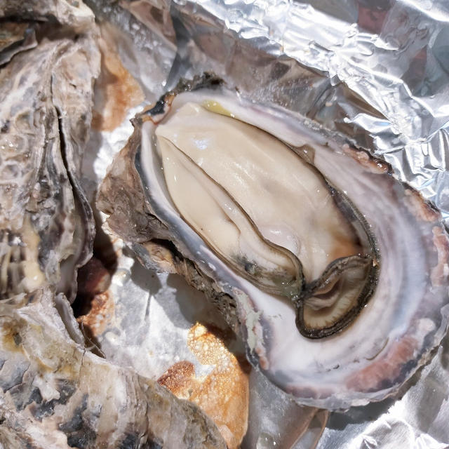 殻付きの牡蠣はこうして食べよう!ホットプレートで簡単絶品焼き牡蠣＼(^o^)／