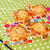 お花見ピクニックの持ち寄りに"かめパン" 🐢 Pane Tartaruga