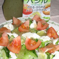 野菜サラダ　のっけてジュレ