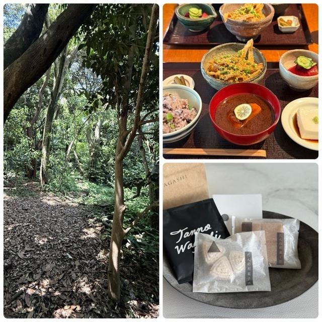 鎌倉ハイキングとランチとお茶と、お土産