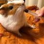 調子の悪かったメイちゃん、復活してます