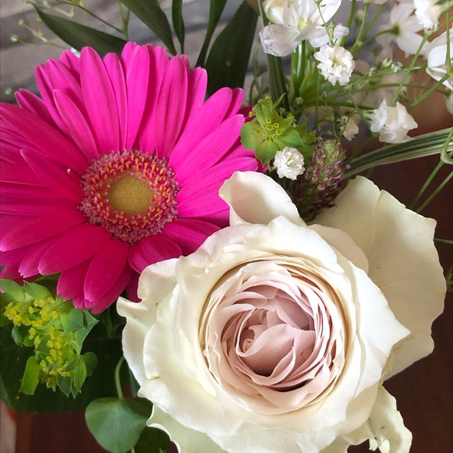 お花の定期便始めました〜♪
