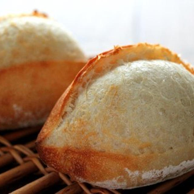 ホップ種が生きていた！と、ホップ種ぷちパン