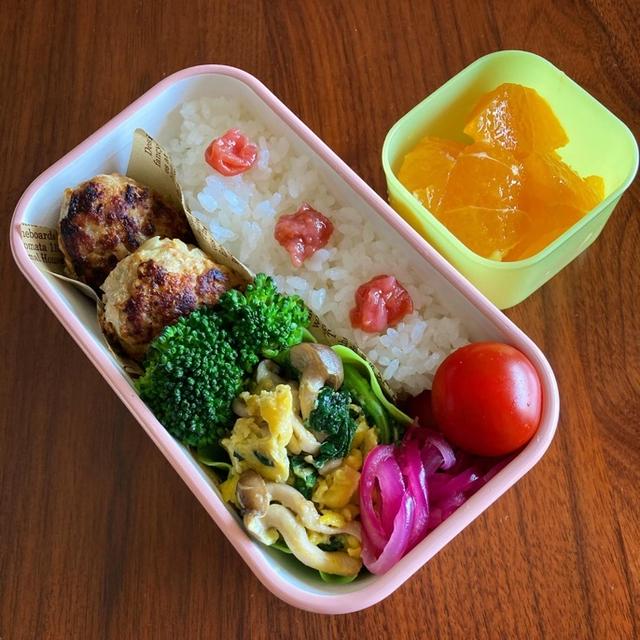 連日ハンバーグ弁当。