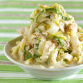 5分で！やみつき白菜サラダ 英語レシピ | 海外向け日本の家庭料理動画 | OCHIKERON