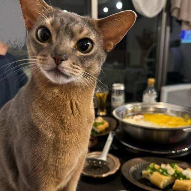 【だんなさまごはん】豚しゃぶと栃尾揚げの夜ごはん
