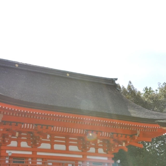京都　下鴨神社へ行ってきました。
