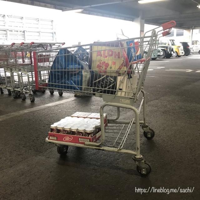 コストコの戦利品達♡【#コストコ#買い出し】