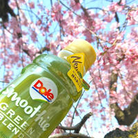 桜の季節を楽しみたくて、、お団子とDoleスムージー持ってプチお花見〜。
