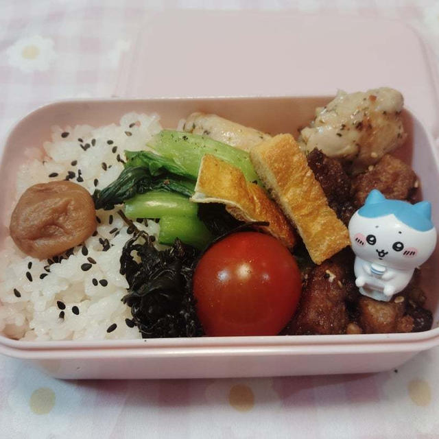 甘辛唐揚げと塩唐揚げ弁当【のっけ弁当】
