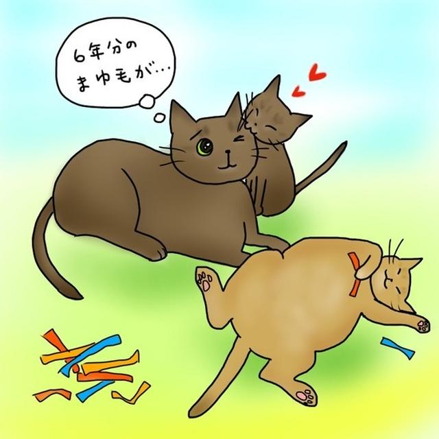 たま男、5年11ヶ月の月命日 ちび子に狙われるまゆげ
