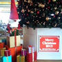 クリスマスツリーたち２０１３