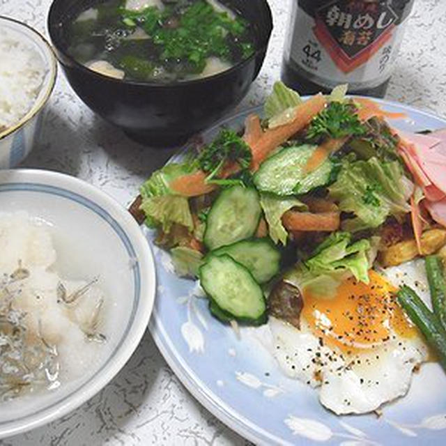 朝ごはん。散歩するにゃんこ
