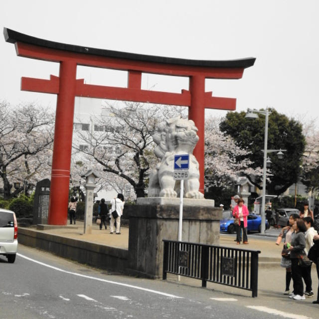 鎌倉のお花見