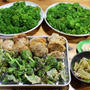 自家栽培ブロッコリーの天ぷらと茹で上げ、ヒレカツほか。