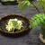 母から受け継いだ伝統の味〜筍の木の芽あえ