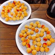 ２０２５「　梅干し　」　下漬け