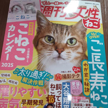 週刊女性ねこ