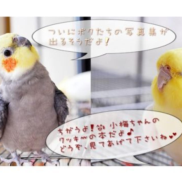 お知らせ♪