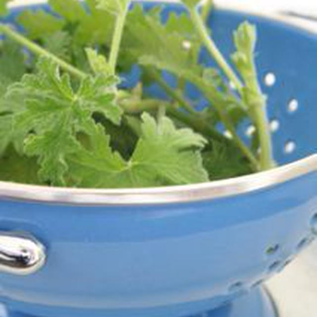 食材のようですが。。。