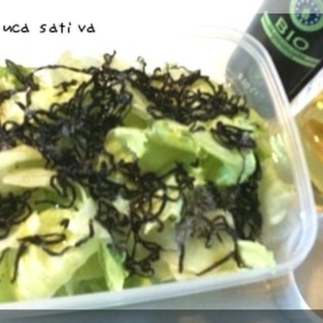 レタスたっぷり浅漬け
