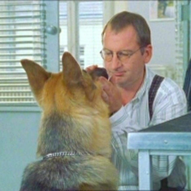 ★『REX～ウィーン警察シェパード犬刑事』シリーズ5