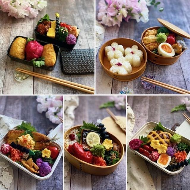 お弁当記録！先週のお弁当のふり返り〜