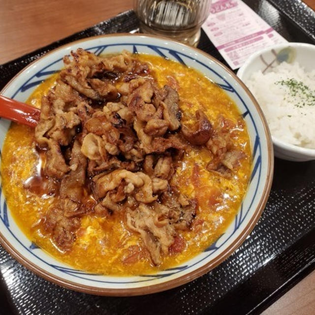 久しぶりに丸亀へ。トマタマカレーうどんを食べてきました。