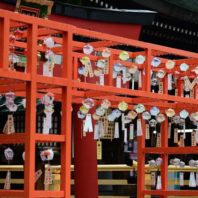 新潟白山神社の風鈴祭〜朱色が綺麗でした。