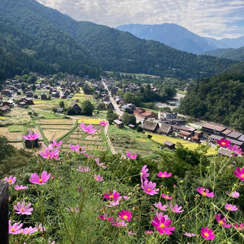 温泉旅