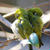 ■野鳥【まだ本調子じゃなくて　今日もストック野鳥で失礼します♪】