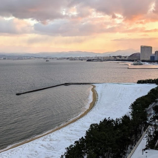 久しぶりの雪と、新春の福袋 第１弾♪