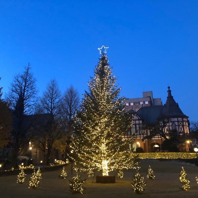 メリークリスマス　明治学院大学のクリスマスツリー
